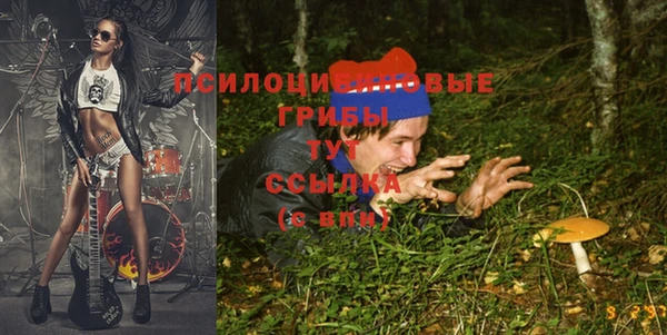 прущая мука Белокуриха