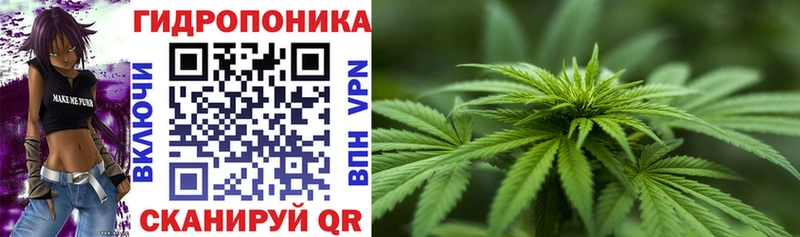 OMG онион  Волгореченск  Бошки Шишки LSD WEED  закладки 